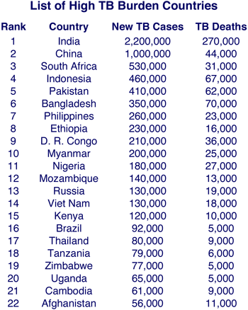 table identifying the 22 high TB burden countries and listing the number of new TB cases and TB deaths per year for each nation